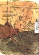 khadim rassoul et le toro